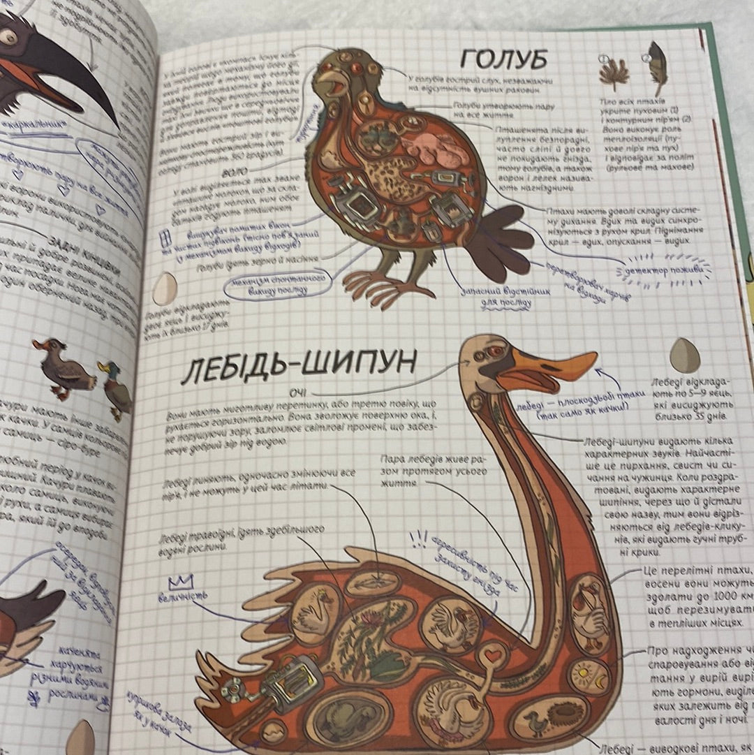 Тварини. Як це працює. Нікола Кухарська / Енциклопедії для дітей українською