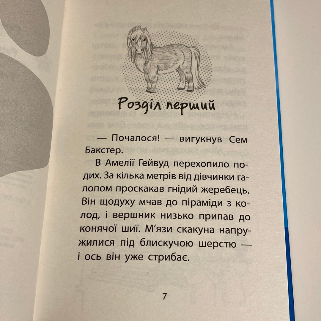 Самотній поні. Історії порятунку. Люсі Деніелс / Книги про тварин та добро для дітей