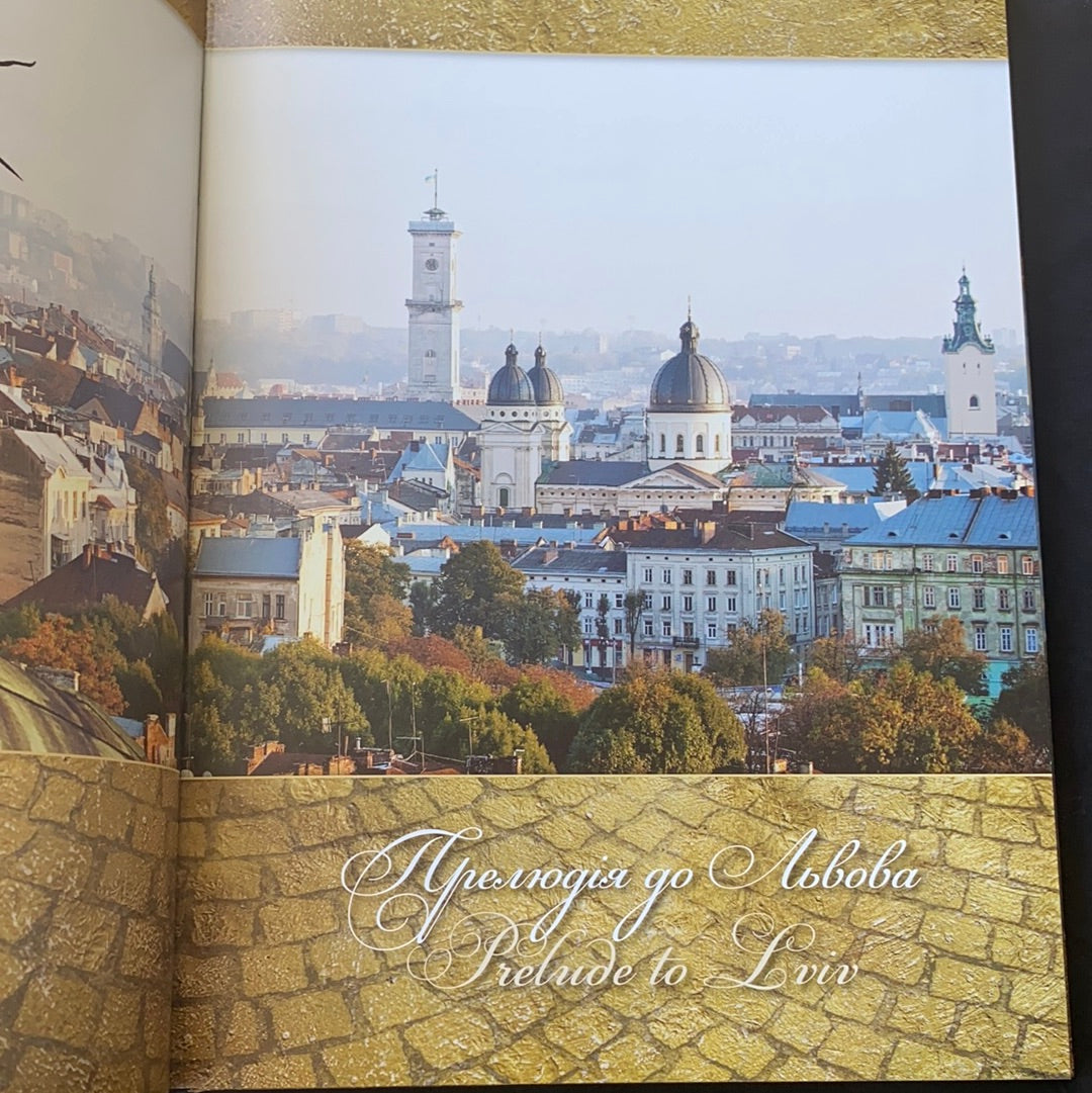 Віч-на-віч зі Львовом. Юрій Николишин / Книга про Львів. Gift Ukrainian book about Lviv