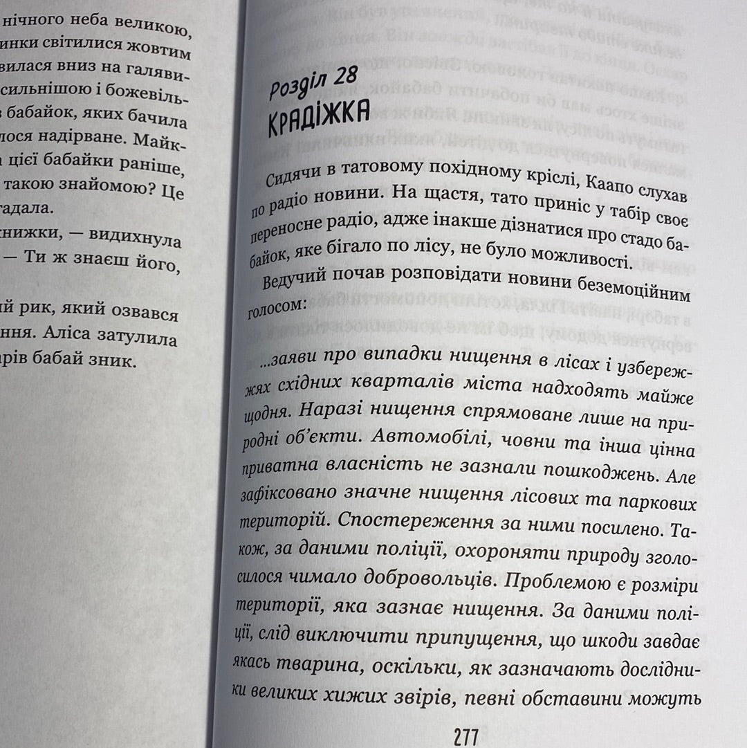 Бабайка. Туутіккі Толонен / Книги фінських авторів для дітей