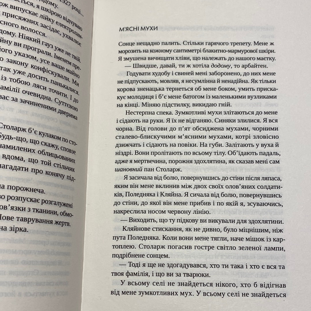 Гроші від Гітлера. Радка Денемаркова / Чеська література українською в США