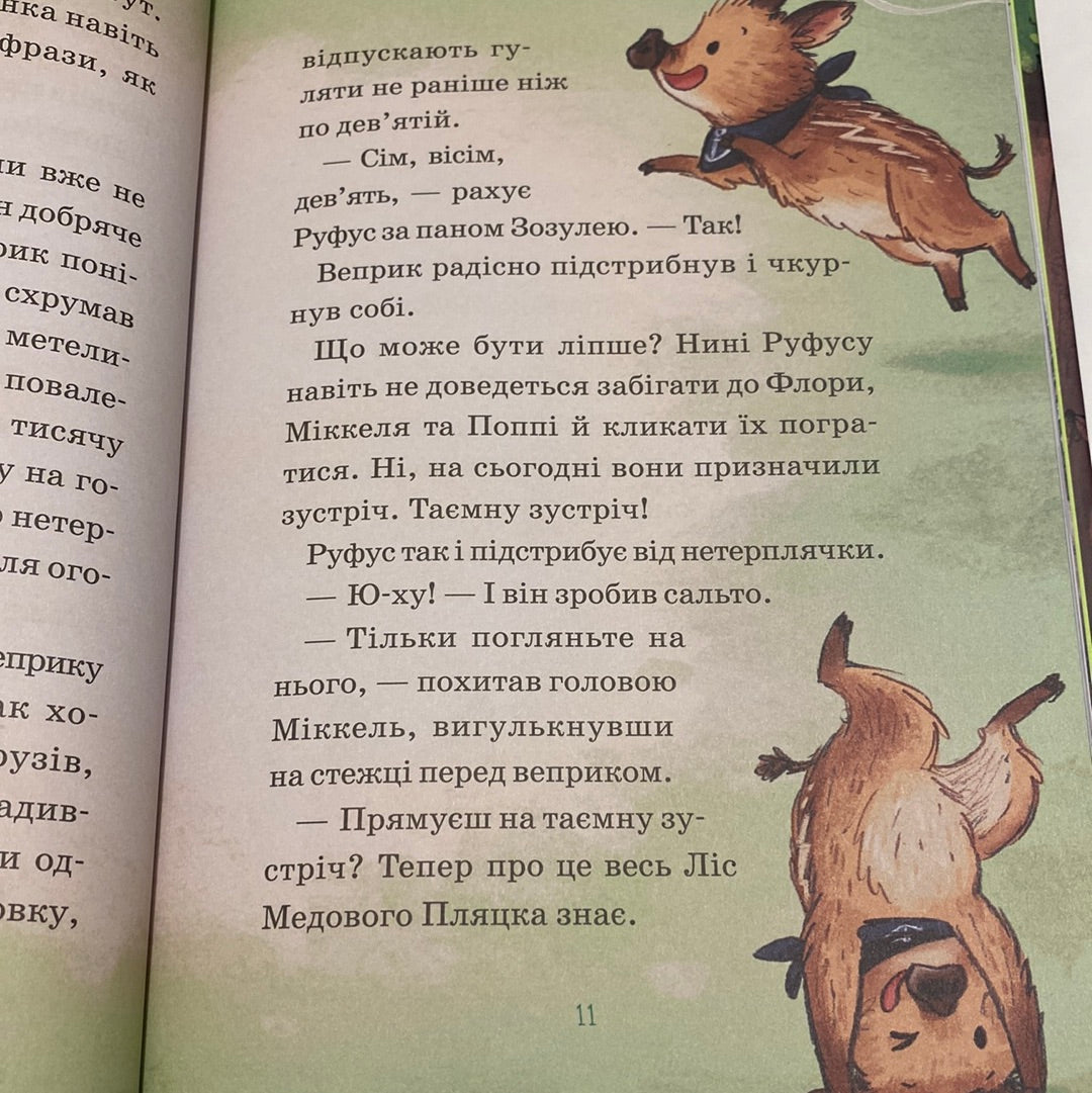 Герої дикого лісу. Порятунок від смутку. Андрес Шютце / Книги про звірят для дітей