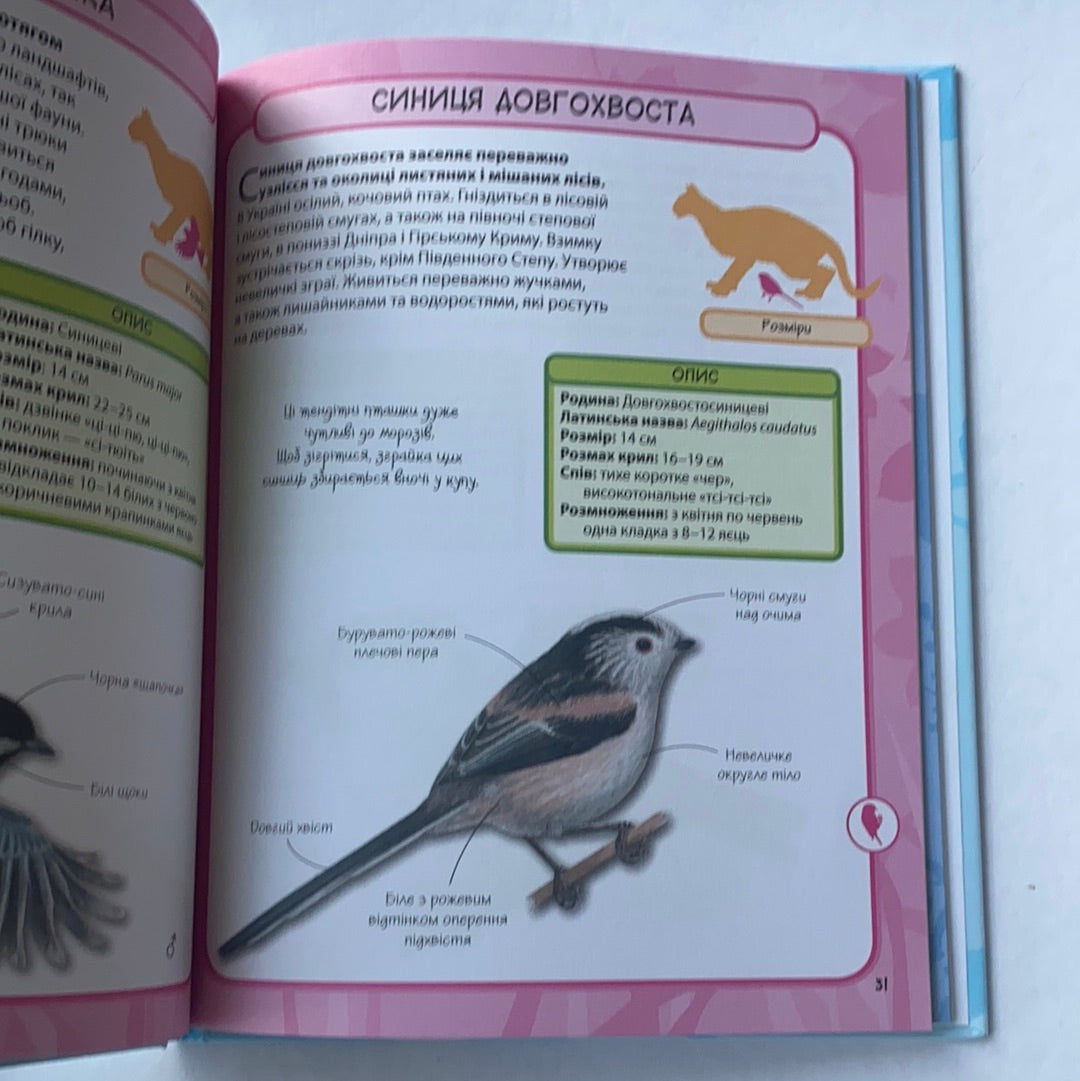Птахи наших садків. Міні-енциклопедія / Children's book from Ukraine. Дитячі енциклопедії