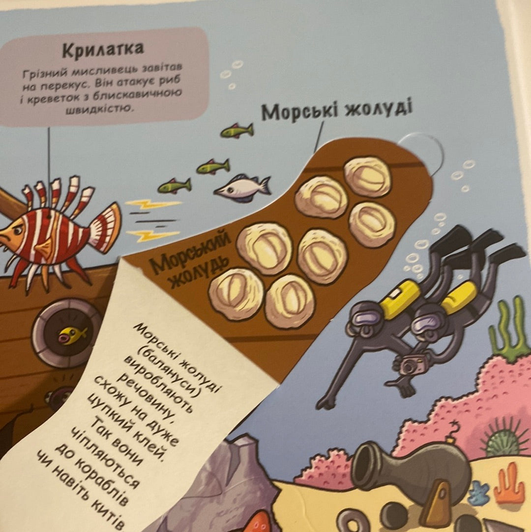 Підводний світ. Маленькі дослідники / Пізнавальні книги з віконцями для дітей