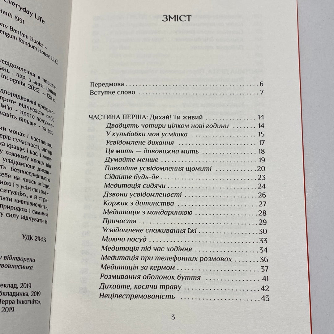 Спокій у кожному кроці. Тхіть Ньят Хань / Мотиваційні книги українською в США