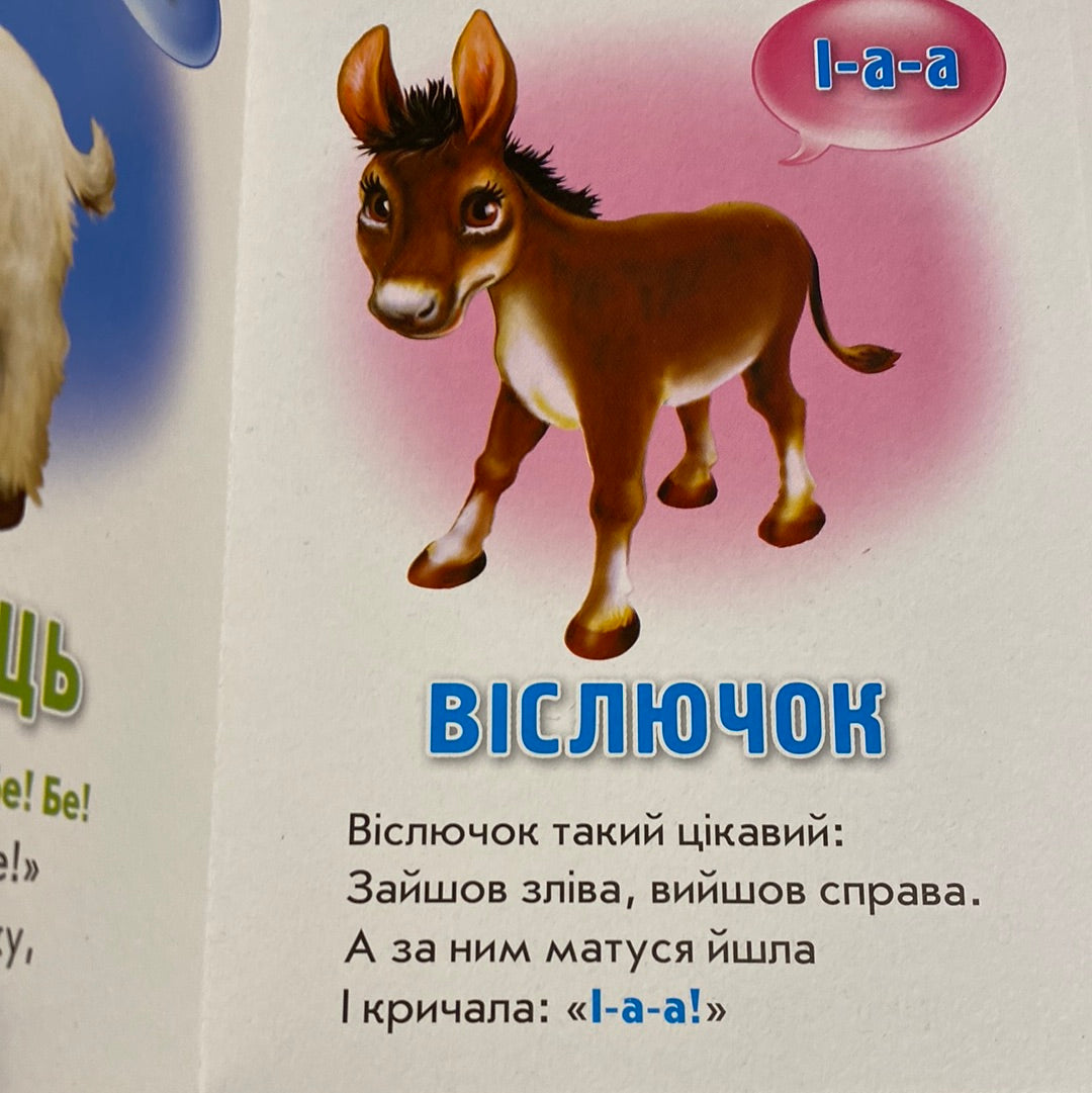 Хто як говорить? Ганна Чубач / Ukrainian board books for kids