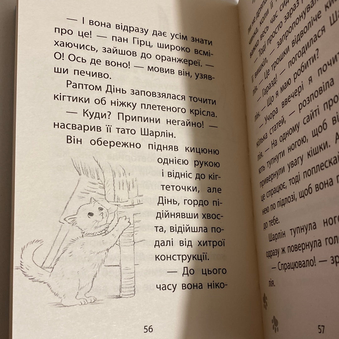 Історії порятунку. Загублене кошеня. Люсі Деніелс / Книги про тварин для дітей