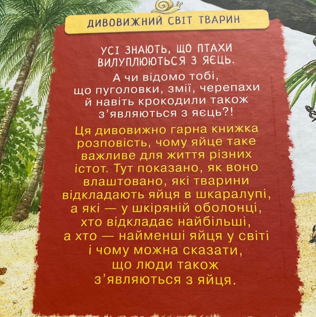 Хто вилупився з яйця? Дивовижний світ тварин / Пізнавальні книги для дітей українською