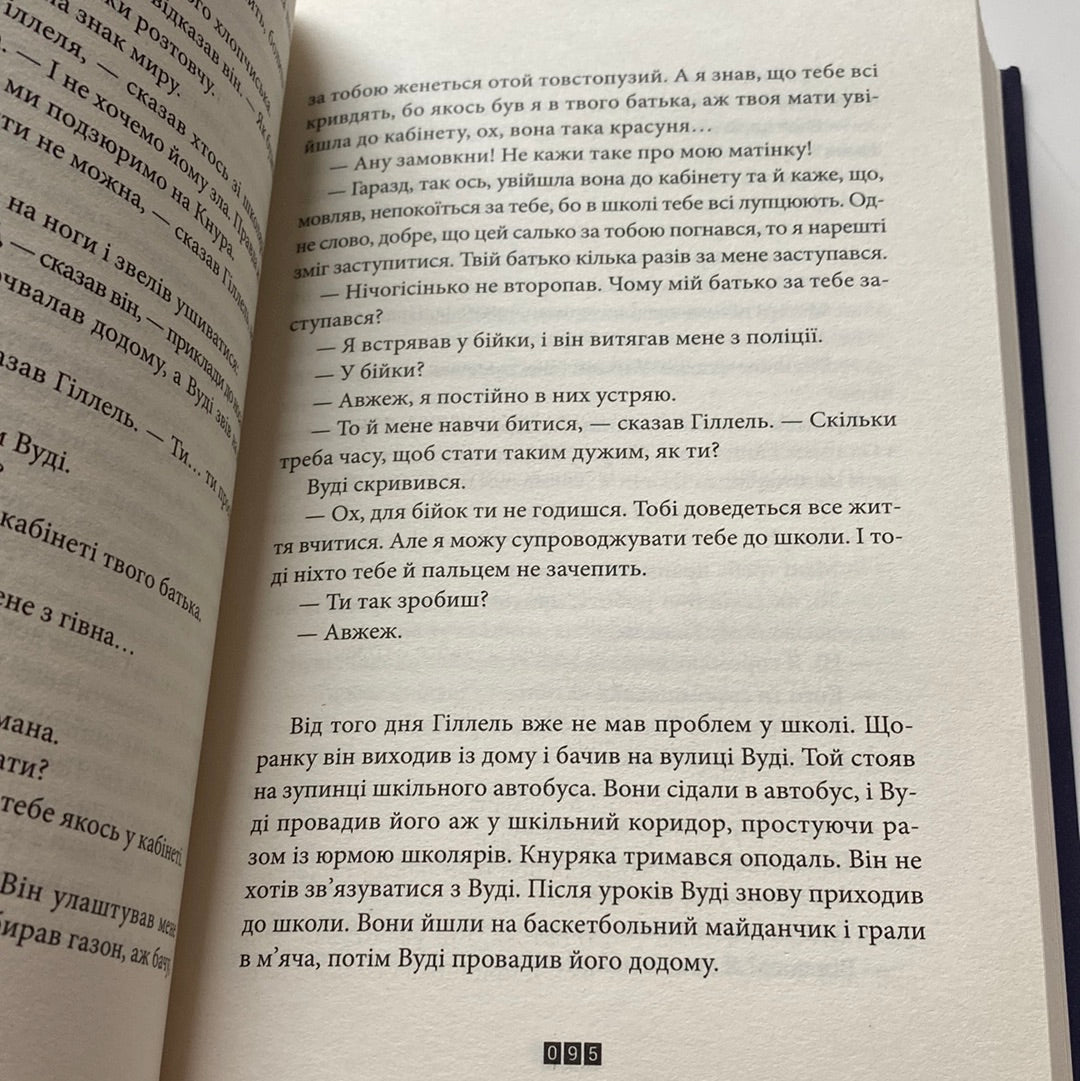 Книга Балтиморів. Жоель Діккер / Світові бестселери українською в США