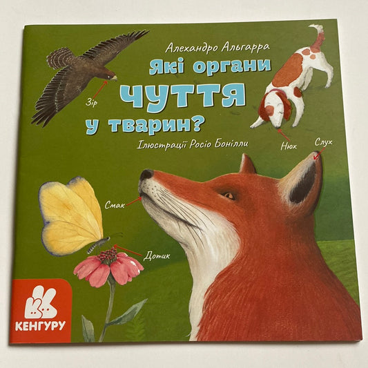 Які органи чуття у тварин? Алехандро Альгарра / Пізнавальні книги про тварин