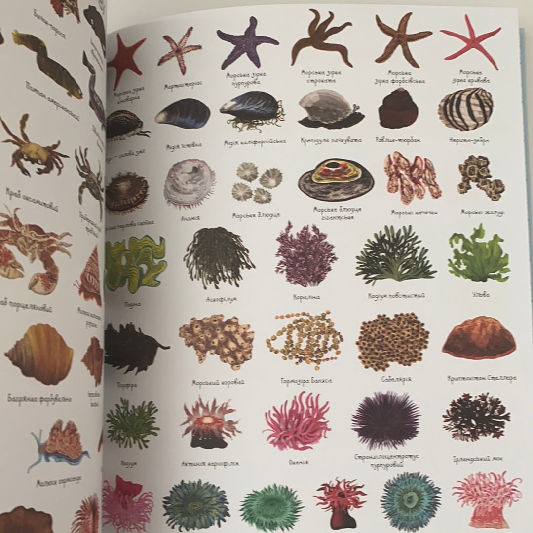 1000 назв підводного світу. Енциклопедія