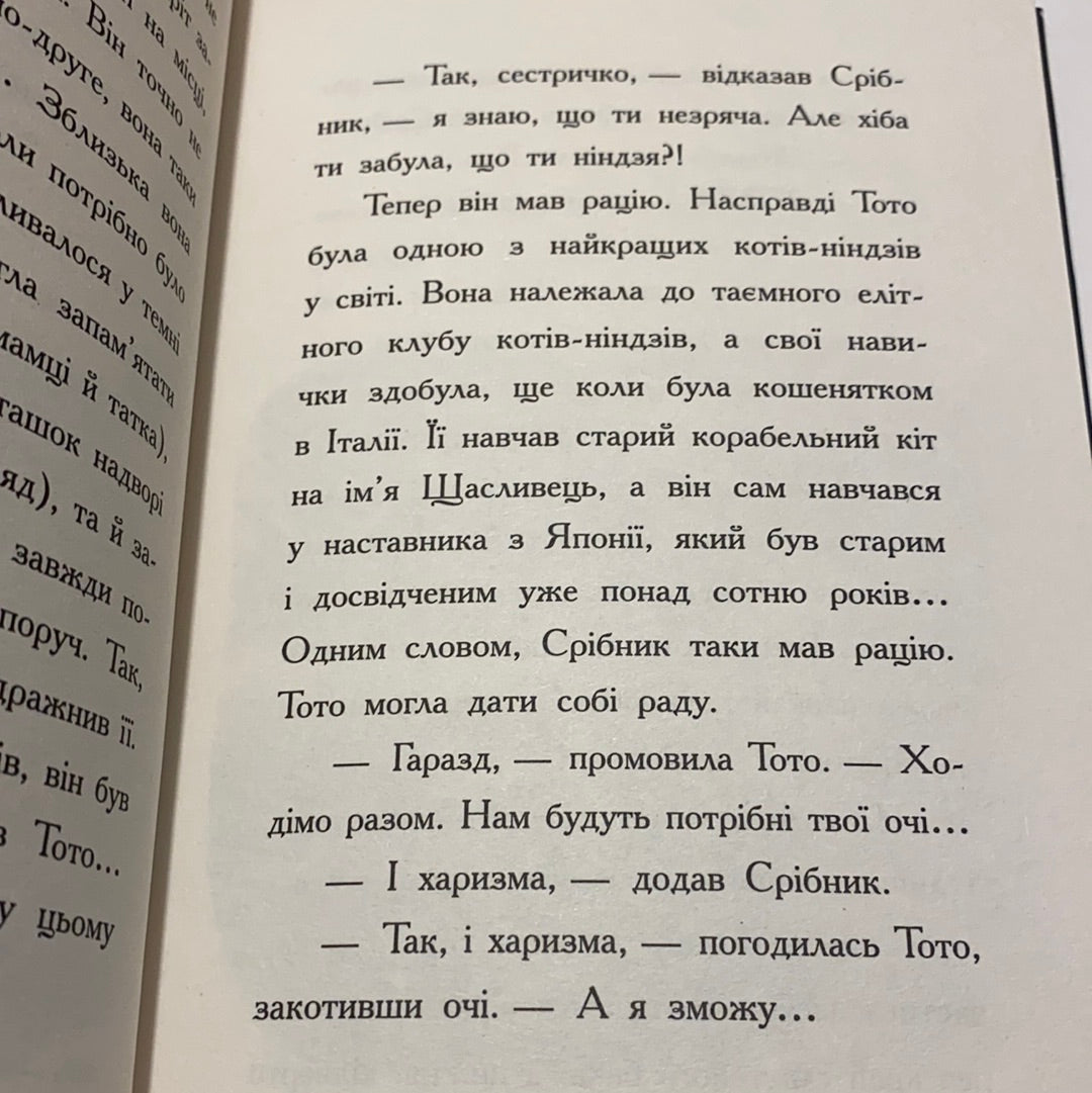 Тото. Кішка-ніндзя та велика втеча змія. Дермот О‘Лірі / Світова література для дітей українською