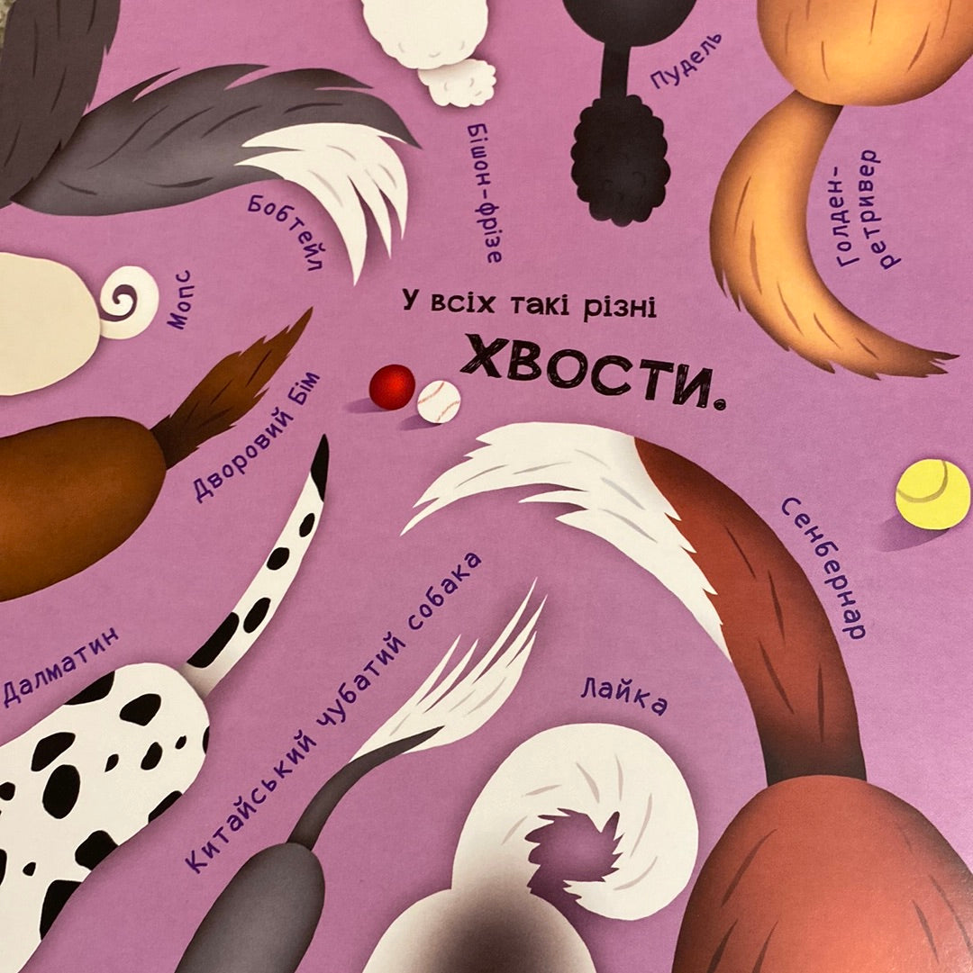 Про собак. Від вушок до лап. Ангеліна Журба / Ukrainian books for toddlers