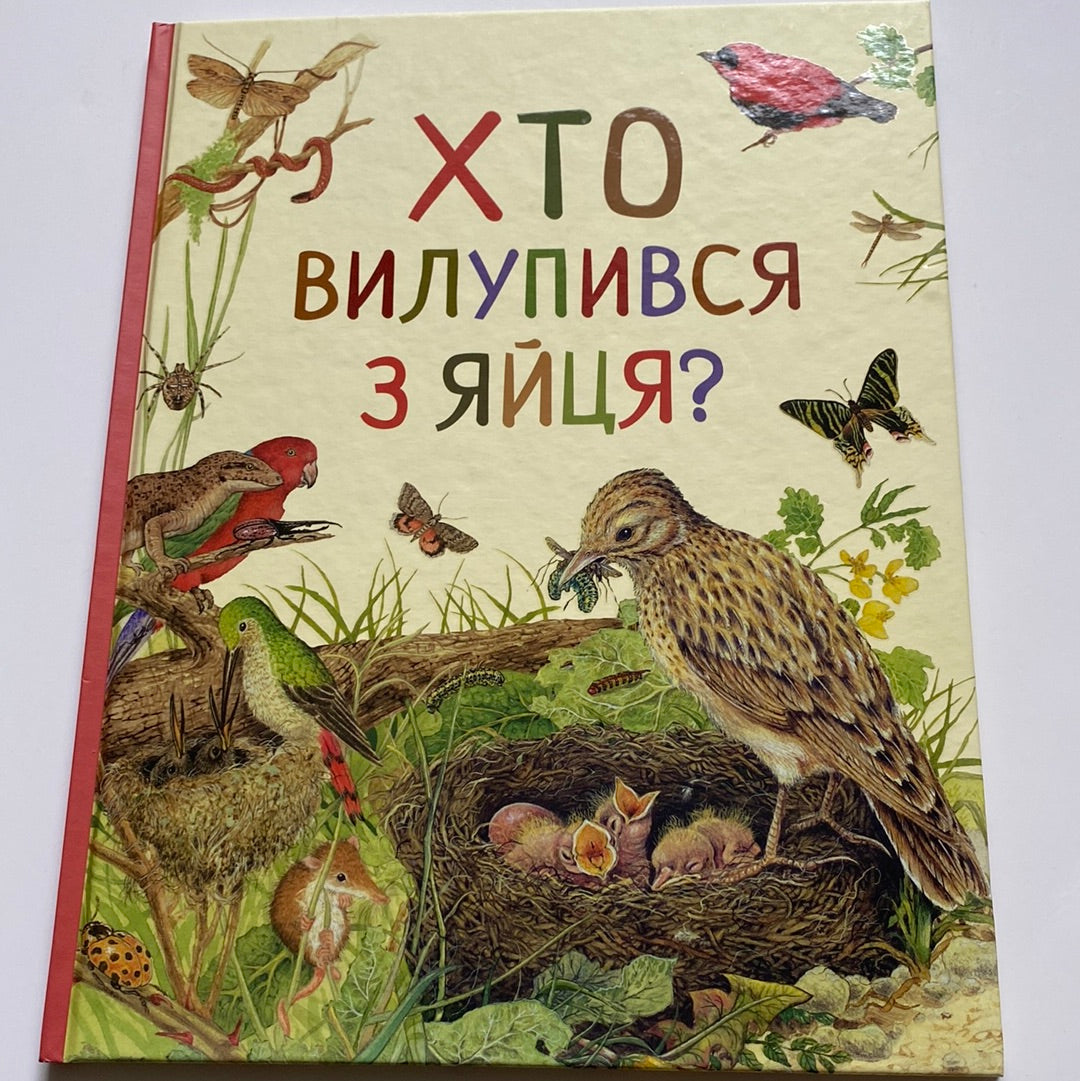 Хто вилупився з яйця? Дивовижний світ тварин / Пізнавальні книги для дітей українською