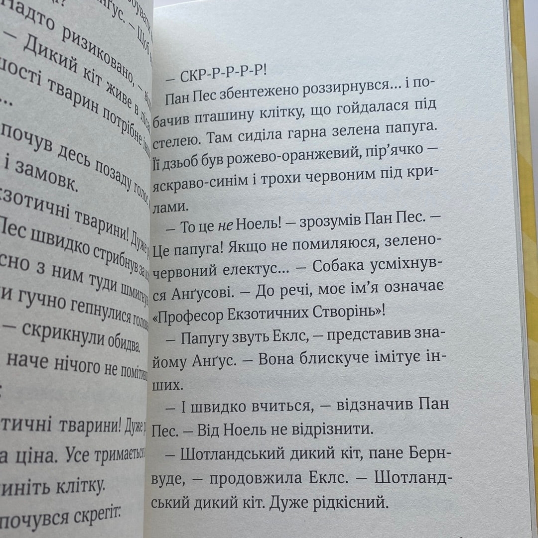 Пан Пес і Кіт зчиняють клопіт. Бен Фоґл, Стів Коул / Веселі книги для дітей українською